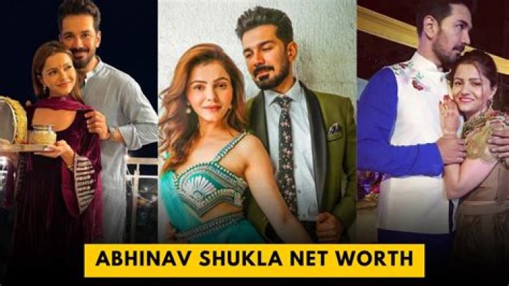 Abhinav Shukla Height, Weight, Net Worth, Age, Birthday, Wikipedia, Who, Instagram, Biography