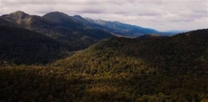 
After 4 days in dense forest, TN youth back home safe 