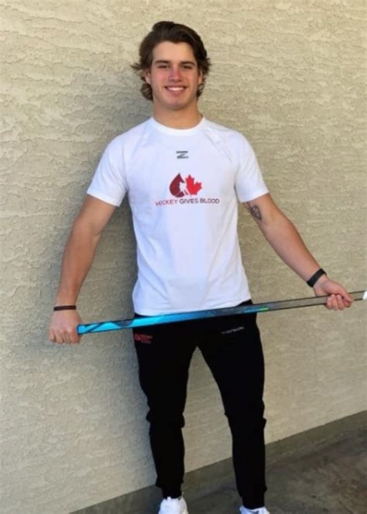 Cole Sillinger Height, Weight, Net Worth, Age, Birthday, Wikipedia, Who, Nationality, Biography