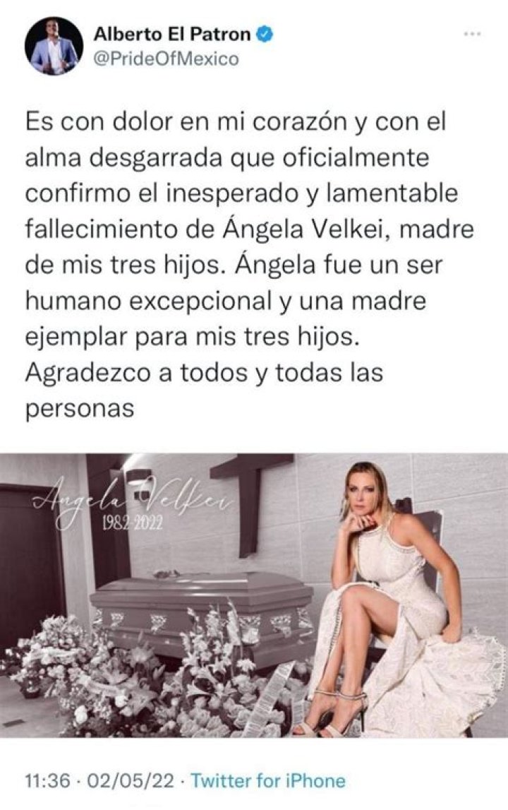Everything On Alberto Del Rio’s Ex Wife Angela Velkei Wikipedia