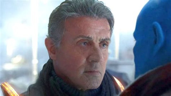 
Is Sistine Stallone Related To Sylvester Stallone? Explained 