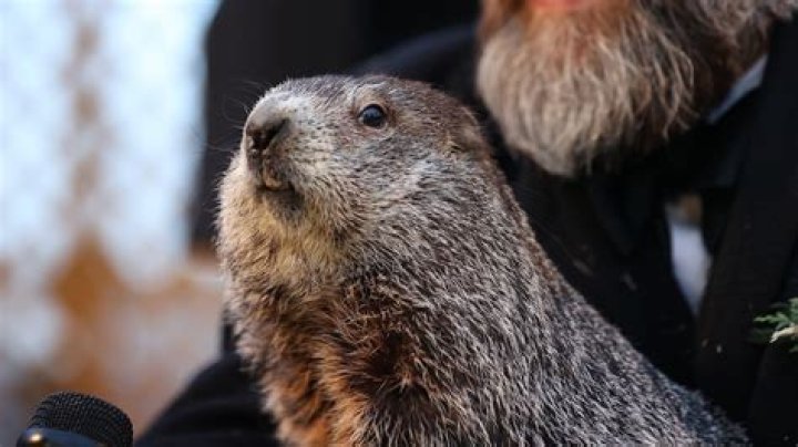 Punxsutawney Phil Ex Wife Photos – How Old Is The Groundhog?