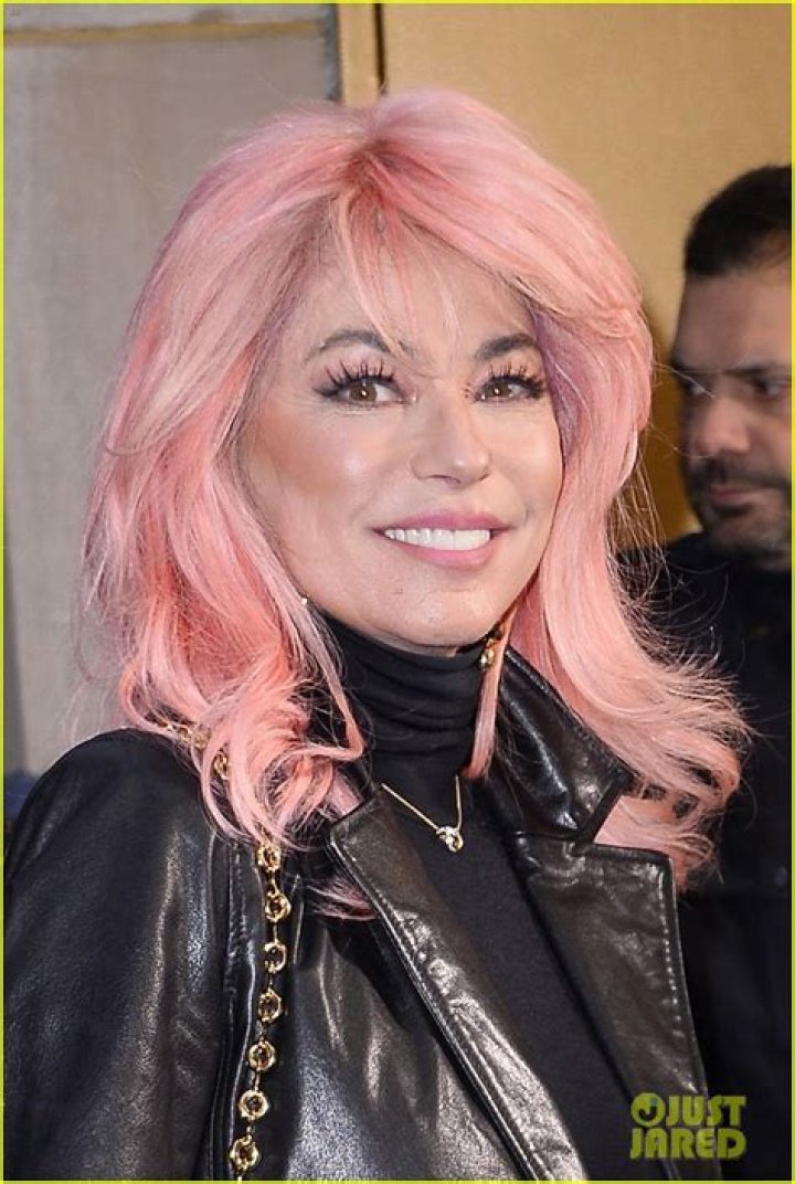 
Shania Twain Debuts Pink Hair During ‘Today’ Show Appearance 