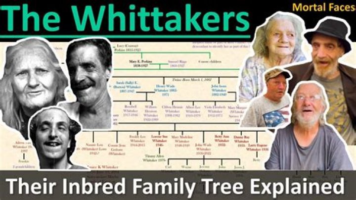 The Whitakers Wikipedia, Who, Nationality, Biography