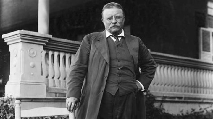 
Theodore Roosevelt Height, Weight, Net Worth, Age, Birthday, Wikipedia, Who, Nationality, Biography 