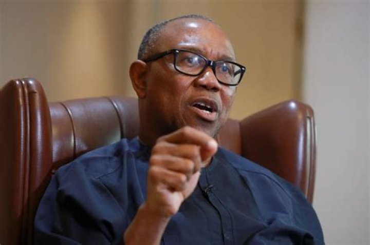 
Uche Jombo Declares Support For Presidential Candidate, Peter Obi 
