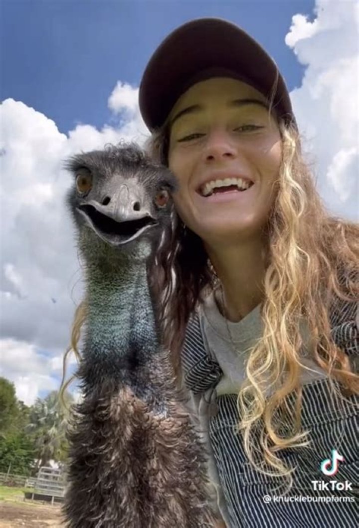 
What’s the Deal With Emmanuel The Emu Sensation? The Knuckle Bump Farms Tiktok Viral Video 