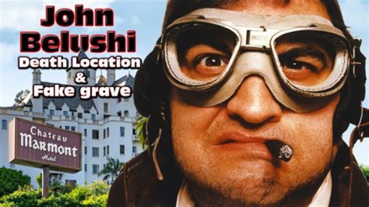 
What Was Jim Belushi Health Before Death | Death Cause 
