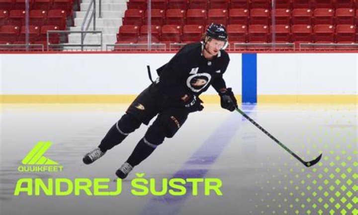 
Who are Andrej Sustrs Parents? Andrej Sustr Biography, Parents Name, Nationality and More 