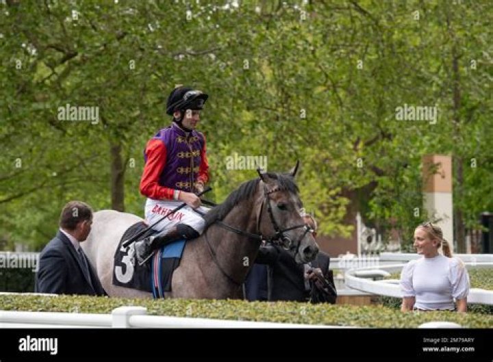 
Who Is Jockey Robert Havlin & What Has He Been Up To These Days? 