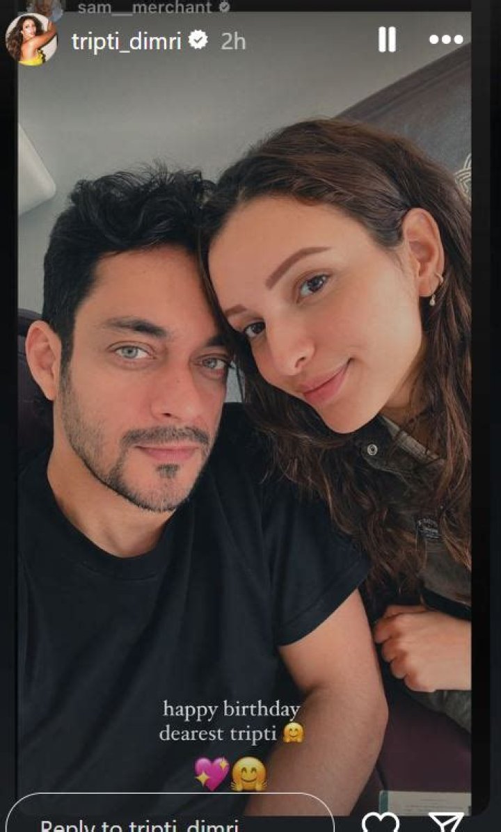 
Who Is Tripti Dimri Boyfriend? Parents And Net Worth 